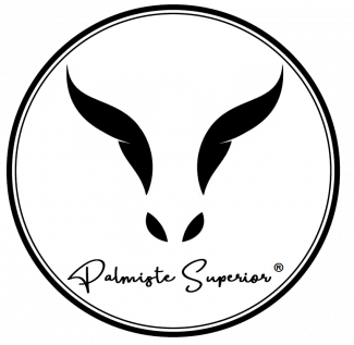 gallery/logo remaster